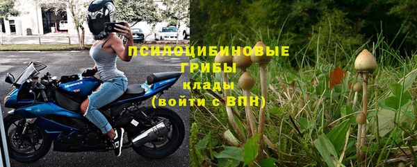 твердый Аркадак