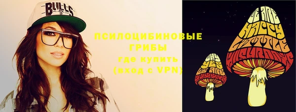 дурь Арсеньев