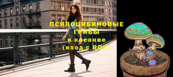 гашик Армянск