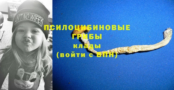гашик Армянск