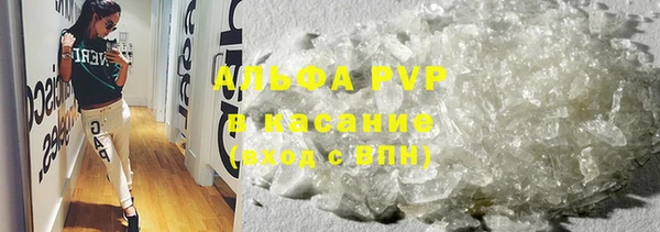 твердый Аркадак