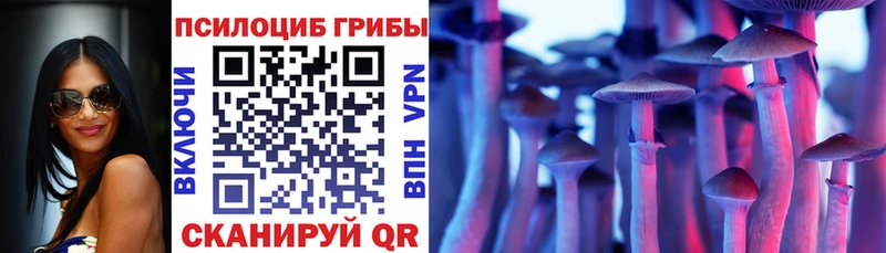 Галлюциногенные грибы Cubensis  кракен ТОР  Гдов 
