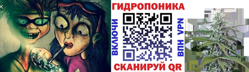 Бошки марихуана план  Гдов 